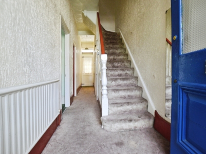 Picture 7